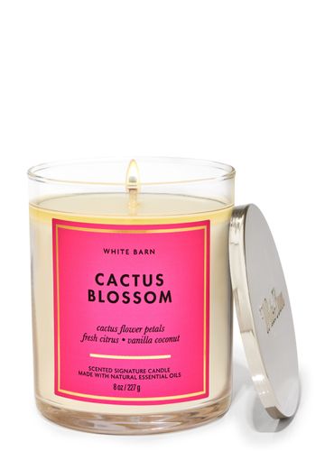 Vela-1-Mecha-8oz-Cactus-Blossom